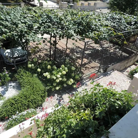 Doris * ポレッチ