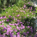 Διαμέρισμα Doris Πόρετς