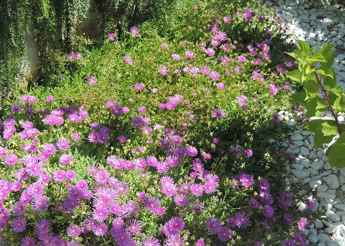 Appartement Doris Poreč